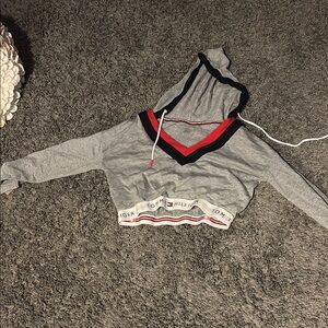 Tommy Hilfiger Gray and Red Cropped Hoodie